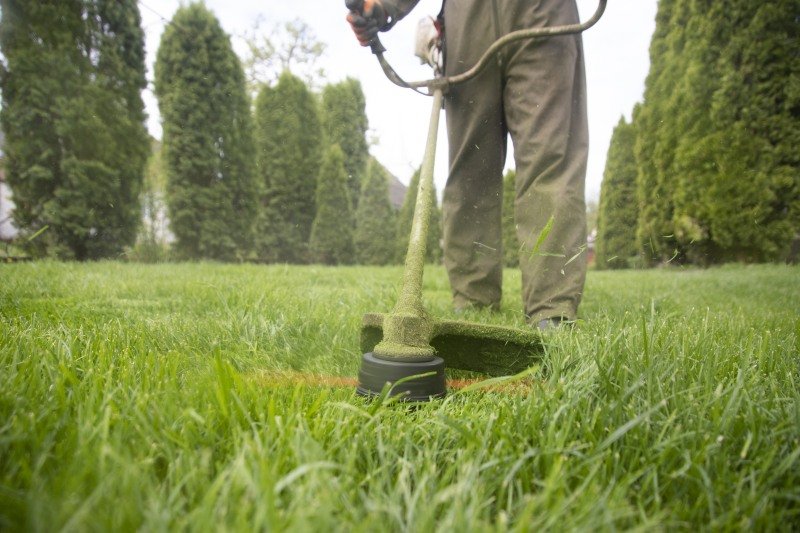 Landscaping services
